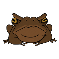 Animation Frog Sticker