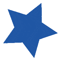 Star Sticker by Magnólia Papelaria
