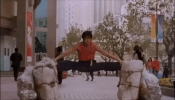 kung fu GIF
