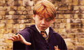 GIF by Giphy QA