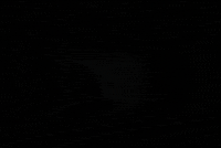 julietagracian party dancing music video night GIF