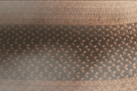 Back To The Future Wtf GIF by Manifest Destiny Down: SPACETIME