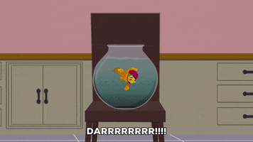water fish GIF by South Park 