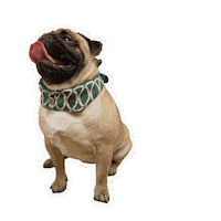 Bulve Sticker