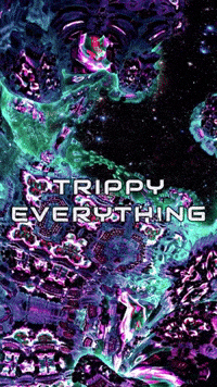 TrippyEverything trippy psychedelic digital visuals GIF