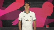 Borussia Monchengladbach Arms GIF by Bundesliga