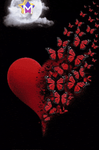 Good Night Salud GIF by Murcianys LLC