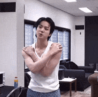 Concert Jin GIF