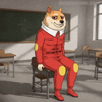 Awkward Shiba Inu GIF by Doge Pound