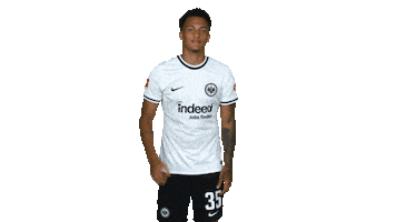 Sge Ok Sticker by Eintracht Frankfurt