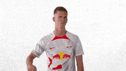 Football No GIF by RB Leipzig
