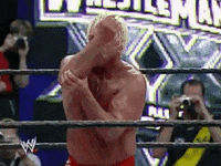ric flair wrestling GIF by WWE