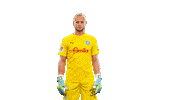 Football Soccer Sticker by Holstein Kiel