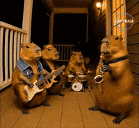 Vibing The Boys GIF