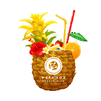Puerto Rico Vacations Sticker by WEPA!BOX