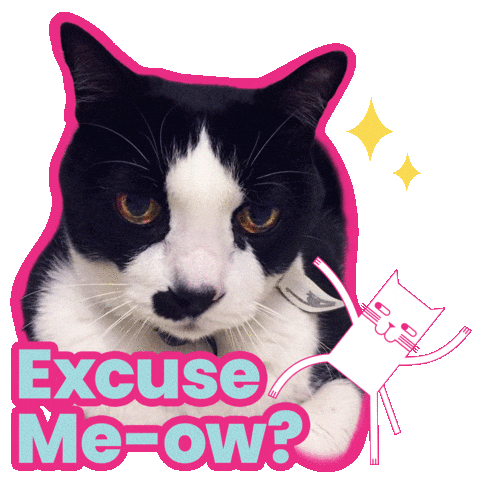 Black Cat Love Sticker by gigaexperience