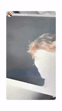 Fine Art Pictures GIF by CATTURA