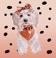 Binilola GIF
