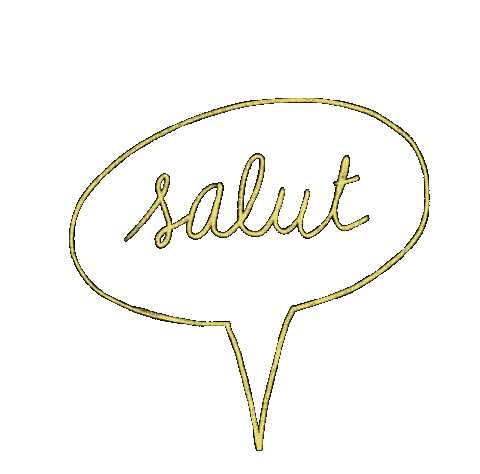 vanessadeabreu giphyupload hello salut lesgambettessauvages Sticker
