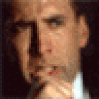 gifs for ants GIF