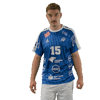 Handball Nowak Sticker by DAIKIN HBL