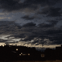 make it rain love GIF by Bryan Unger