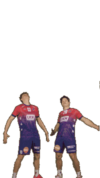 Deutschland Sticker by Volleyball Bundesliga