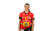 Handball Spain Sticker by EHF