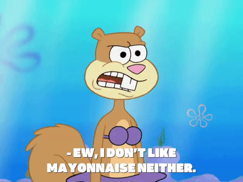 season 8 GIF by SpongeBob SquarePants