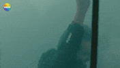 cukur GIF by Show TV
