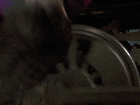 Mary Steenburgen Clara GIF by Back to the Future Trilogy