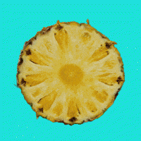 Summer Comida GIF