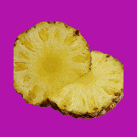 Summer Comida GIF