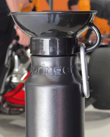 Indy Car Springer GIF