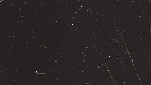 GIF by Cortecloud