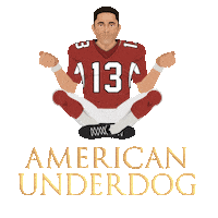 Arizona Cardinals Football Sticker by Animanias