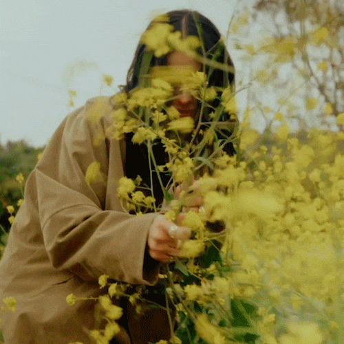 Surprise Flowers GIF by Sofia Camara