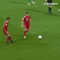 champions league football GIF by FC Bayern Munich