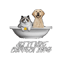 Askandrea Sticker by Altitude Connections