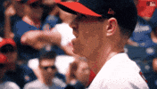 Blue Jays Baseball GIF by Toronto Blue Jays
