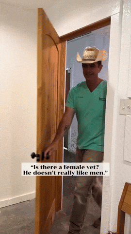 cuteanimalland giphyupload GIF