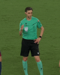 Var Arbitragem GIF