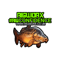 rigworxcarptackle fishing carp carp fishing angling Sticker
