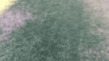 threddy nope threddy GIF