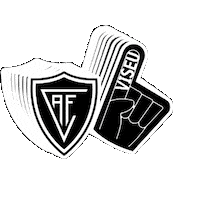 Futebol Portugal Sticker by Académico de Viseu