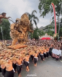Ogohogoh GIF