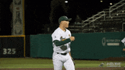 baseball wave GIF by GreenWave
