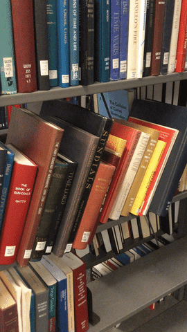books library GIF by MIT 