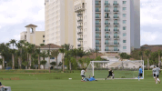 GIF by NYCFC
