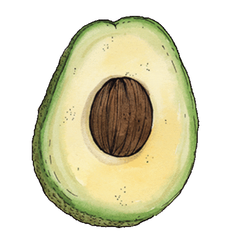 FratelliOrsero giphyupload summer tropical avocado Sticker